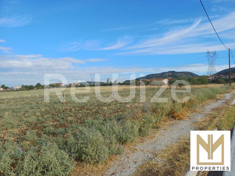 Οικόπεδο 10188 τ.μ. στο Ωραιόκαστρο, φωτογραφία 8