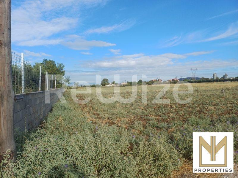Οικόπεδο 10188 τ.μ. στο Ωραιόκαστρο, φωτογραφία 7
