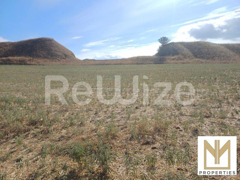 Field 2750 m² in Oraiokastro, photo 9