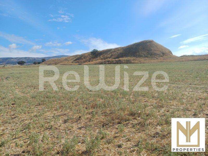 Field 2750 m² in Oraiokastro, photo 10
