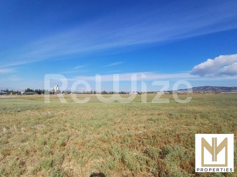 Field 2750 m² in Oraiokastro, photo 2