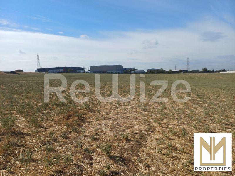 Field 2750 m² in Oraiokastro, photo 6
