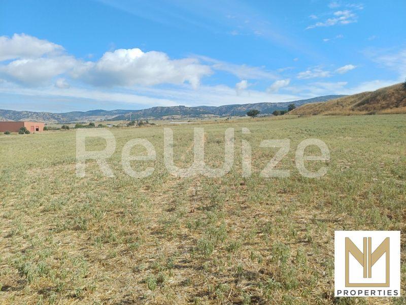 Field 2750 m² in Oraiokastro, photo 11