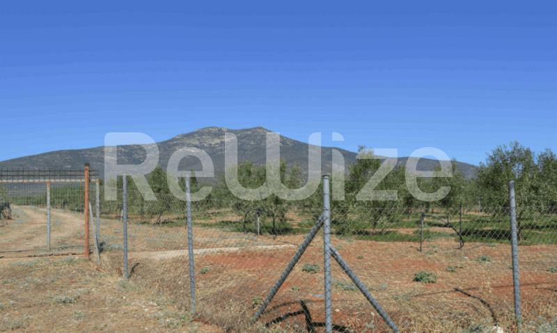 Photo 1,Θέα στο Βουνό,ΕΝΟΙΚΊΑΣΗ,Γη,Αγροτεμάχιο,25873τ.μ,€148,000,Βόρεια Κυνουρία