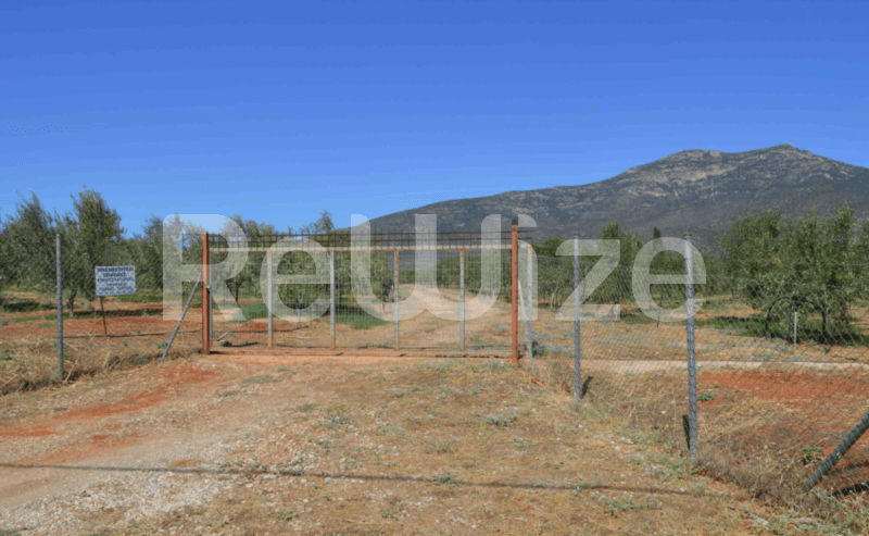 Photo 2,Θέα στο Βουνό,ΕΝΟΙΚΊΑΣΗ,Γη,Αγροτεμάχιο,25873τ.μ,€148,000,Βόρεια Κυνουρία