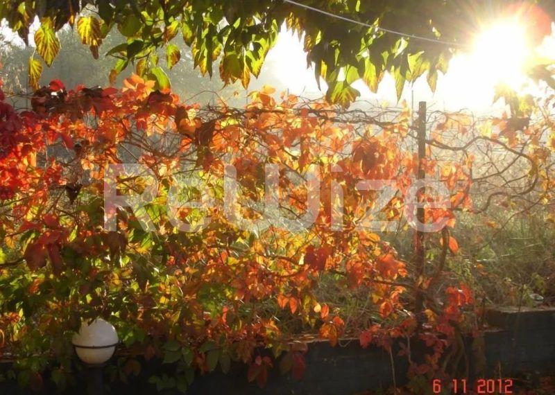 Photo 7,Εξωτερική,ΠΏΛΗΣΗ,Κατοικία,Μονοκατοικία,180τ.μ,€350,000,Τρίλοφος