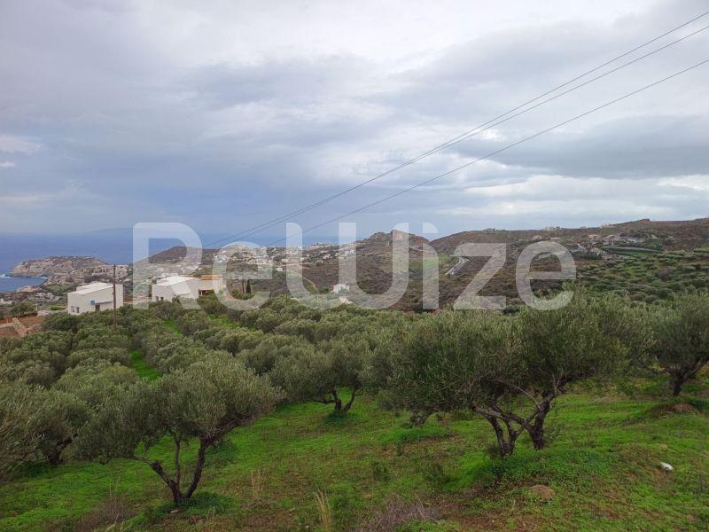 Photo 8,Θέα στη θάλασσα,ΠΏΛΗΣΗ,Γη,Οικόπεδο,8486τ.μ,€440,000,Αγία Πελαγία