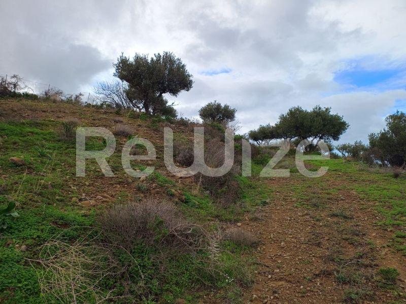 Photo 16,Εξωτερική,ΠΏΛΗΣΗ,Γη,Οικόπεδο,8486τ.μ,€440,000,Αγία Πελαγία