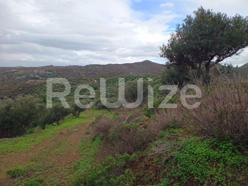 Photo 12,Εξωτερική,ΠΏΛΗΣΗ,Γη,Οικόπεδο,8486τ.μ,€440,000,Αγία Πελαγία