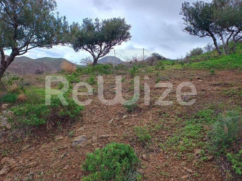 Photo 11,Εξωτερική,ΠΏΛΗΣΗ,Γη,Οικόπεδο,8486τ.μ,€440,000,Αγία Πελαγία