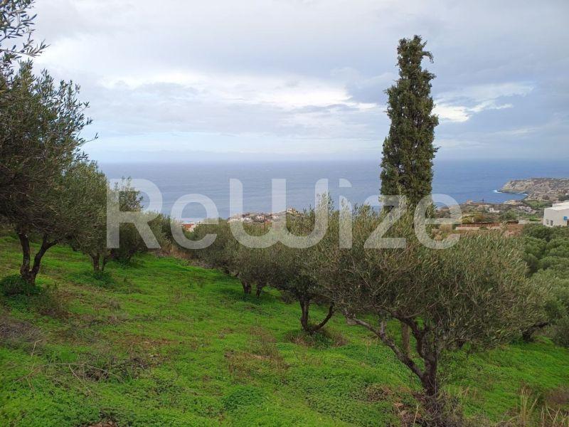 Photo 7,Θέα στη θάλασσα,ΠΏΛΗΣΗ,Γη,Οικόπεδο,8486τ.μ,€440,000,Αγία Πελαγία