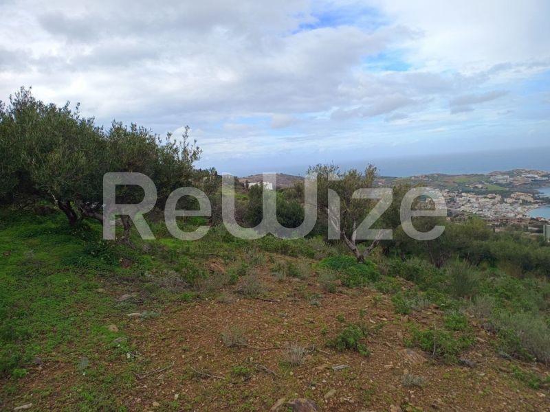 Photo 13,Εξωτερική,ΠΏΛΗΣΗ,Γη,Οικόπεδο,8486τ.μ,€440,000,Αγία Πελαγία