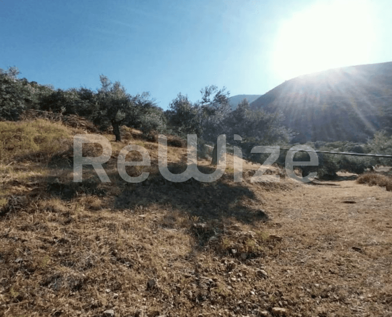 Photo 2,Πανοραμική Θέα,ΕΝΟΙΚΊΑΣΗ,Γη,Αγροτεμάχιο,4190τ.μ,€39,000,Βόρεια Κυνουρία