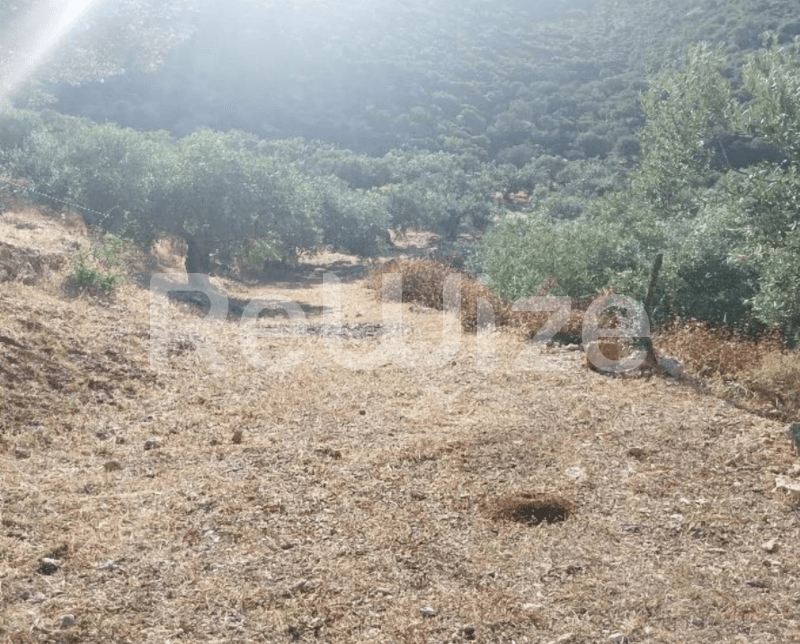 Photo 4,Εξωτερική,ΕΝΟΙΚΊΑΣΗ,Γη,Αγροτεμάχιο,4190τ.μ,€39,000,Βόρεια Κυνουρία