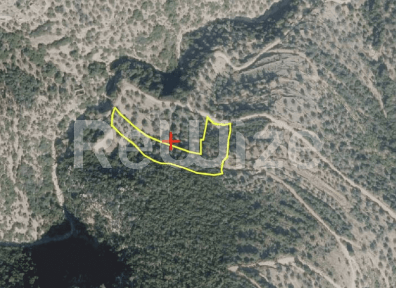 Photo 1,Εξωτερική,ΕΝΟΙΚΊΑΣΗ,Γη,Αγροτεμάχιο,4190τ.μ,€39,000,Βόρεια Κυνουρία