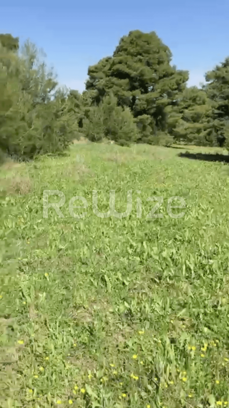 Photo 15,Εξωτερική,ΠΏΛΗΣΗ,Γη,Αγροτεμάχιο,12000τ.μ,€230,000,Ελάνη