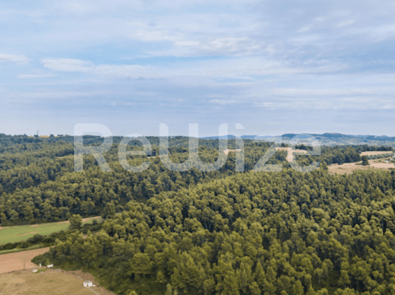 Photo 1,Εξωτερική Όψη,ΠΏΛΗΣΗ,Γη,Αγροτεμάχιο,12000τ.μ,€230,000,Ελάνη