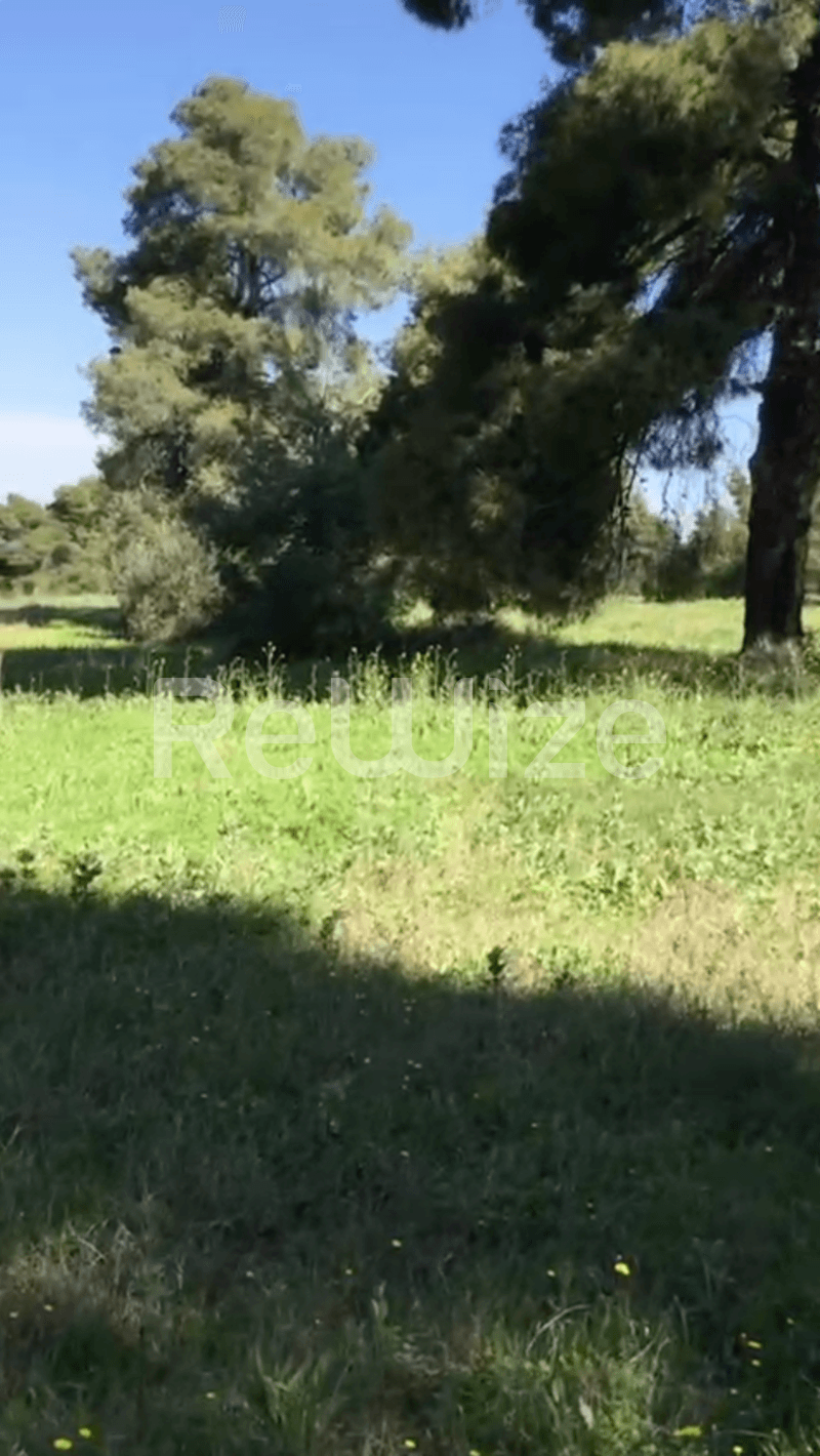 Photo 10,Εξωτερική,ΠΏΛΗΣΗ,Γη,Αγροτεμάχιο,12000τ.μ,€230,000,Ελάνη