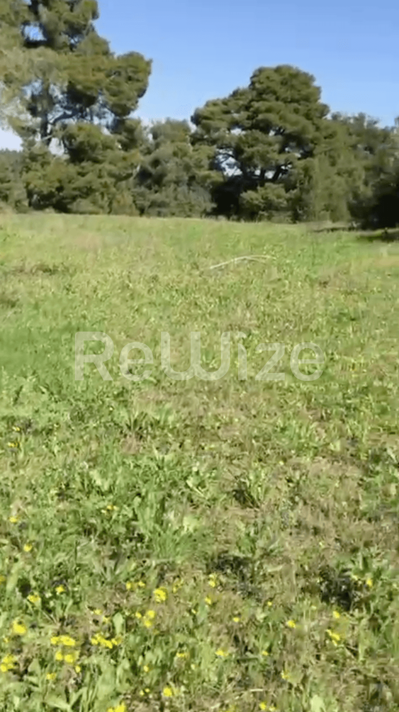 Photo 7,Εξωτερική,ΠΏΛΗΣΗ,Γη,Αγροτεμάχιο,12000τ.μ,€230,000,Ελάνη