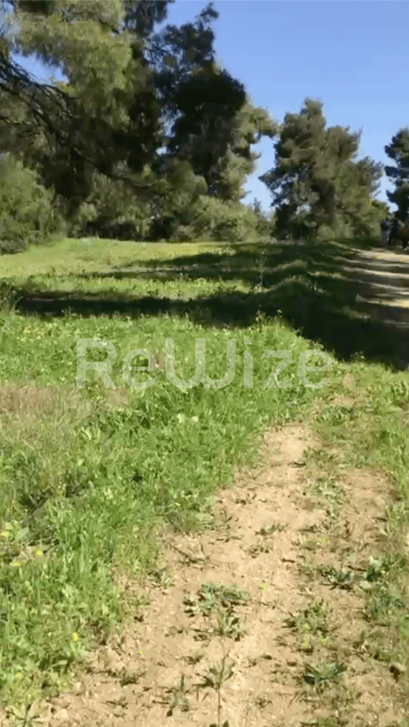 Photo 11,Εξωτερική,ΠΏΛΗΣΗ,Γη,Αγροτεμάχιο,12000τ.μ,€230,000,Ελάνη