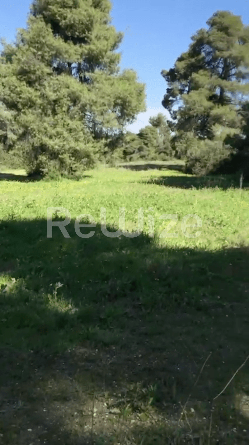 Photo 9,Εξωτερική,ΠΏΛΗΣΗ,Γη,Αγροτεμάχιο,12000τ.μ,€230,000,Ελάνη