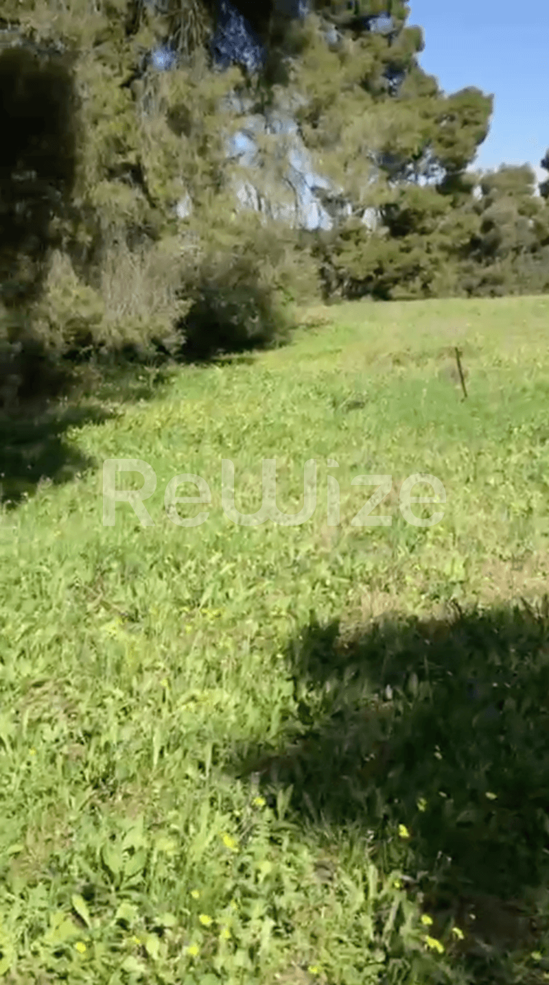 Photo 14,Εξωτερική,ΠΏΛΗΣΗ,Γη,Αγροτεμάχιο,12000τ.μ,€230,000,Ελάνη