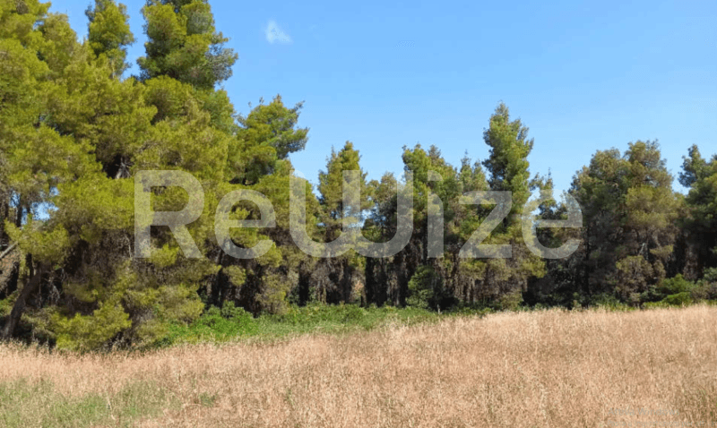 Photo 2,Πανοραμική Θέα,ΠΏΛΗΣΗ,Γη,Αγροτεμάχιο,12000τ.μ,€230,000,Ελάνη