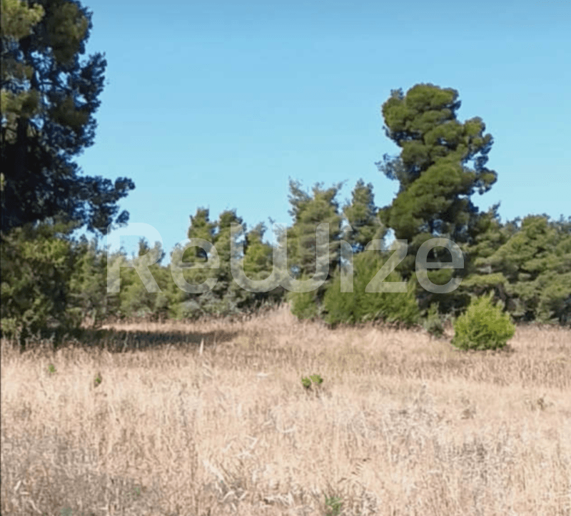 Photo 4,Πανοραμική Θέα,ΠΏΛΗΣΗ,Γη,Αγροτεμάχιο,12000τ.μ,€230,000,Ελάνη