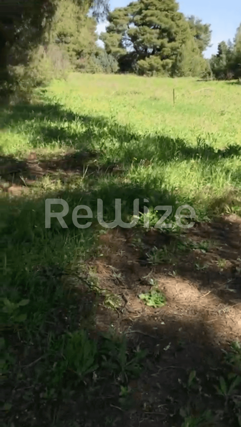 Photo 13,Εξωτερική,ΠΏΛΗΣΗ,Γη,Αγροτεμάχιο,12000τ.μ,€230,000,Ελάνη