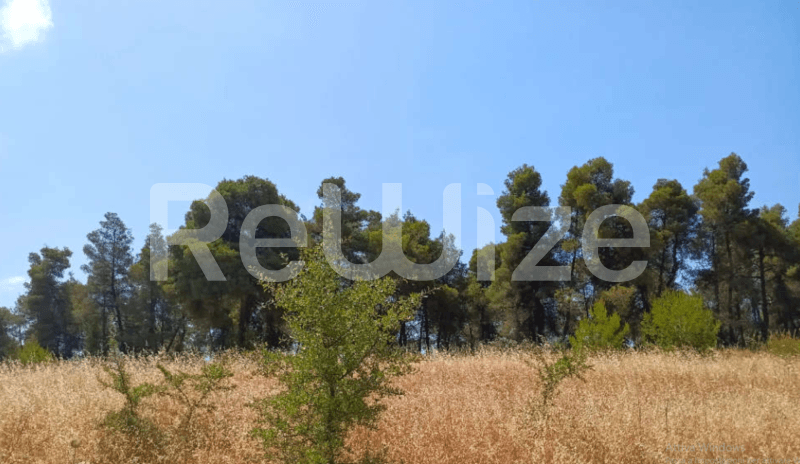 Photo 3,Πανοραμική Θέα,ΠΏΛΗΣΗ,Γη,Αγροτεμάχιο,12000τ.μ,€230,000,Ελάνη