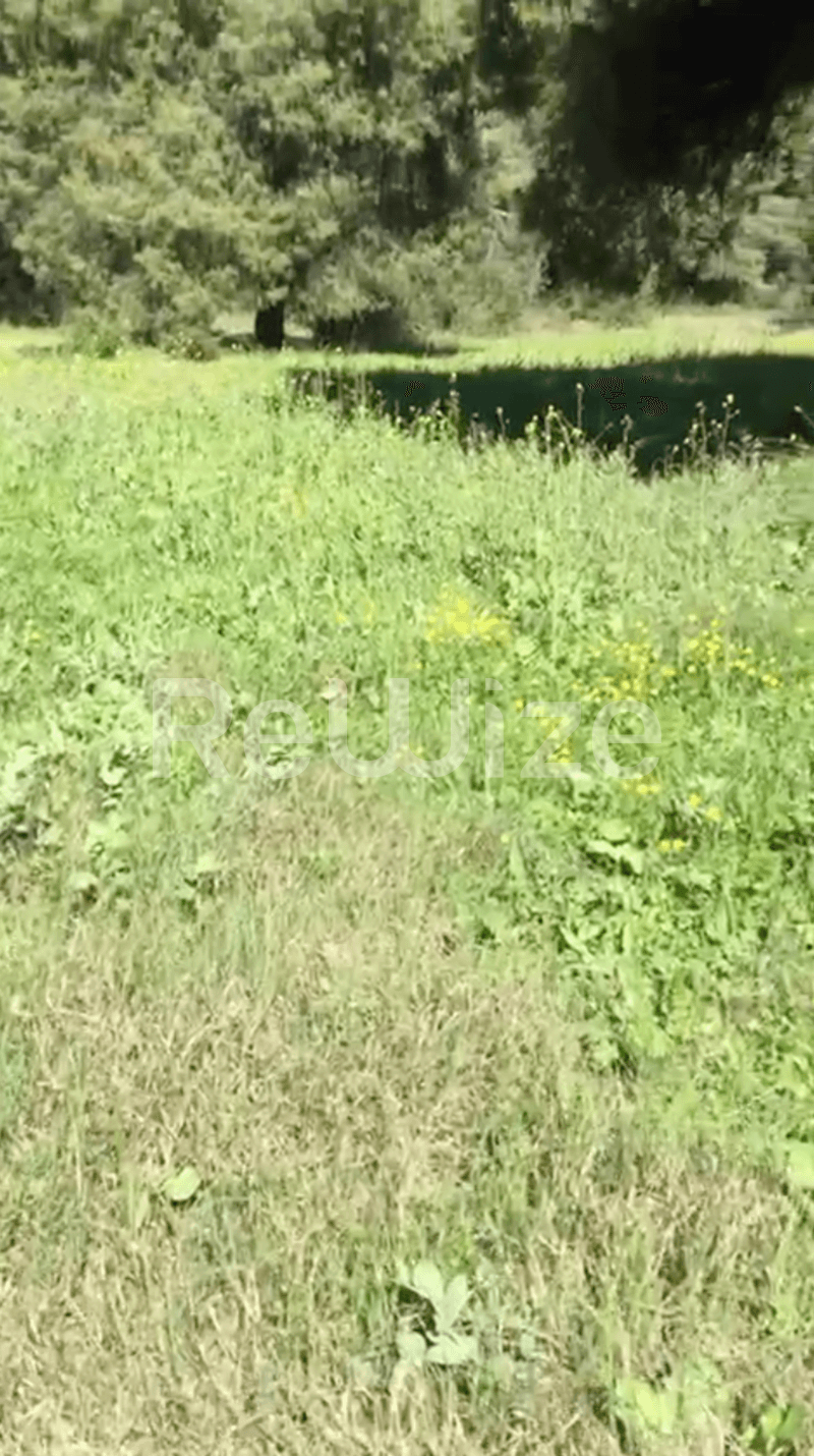 Photo 12,Εξωτερική,ΠΏΛΗΣΗ,Γη,Αγροτεμάχιο,12000τ.μ,€230,000,Ελάνη