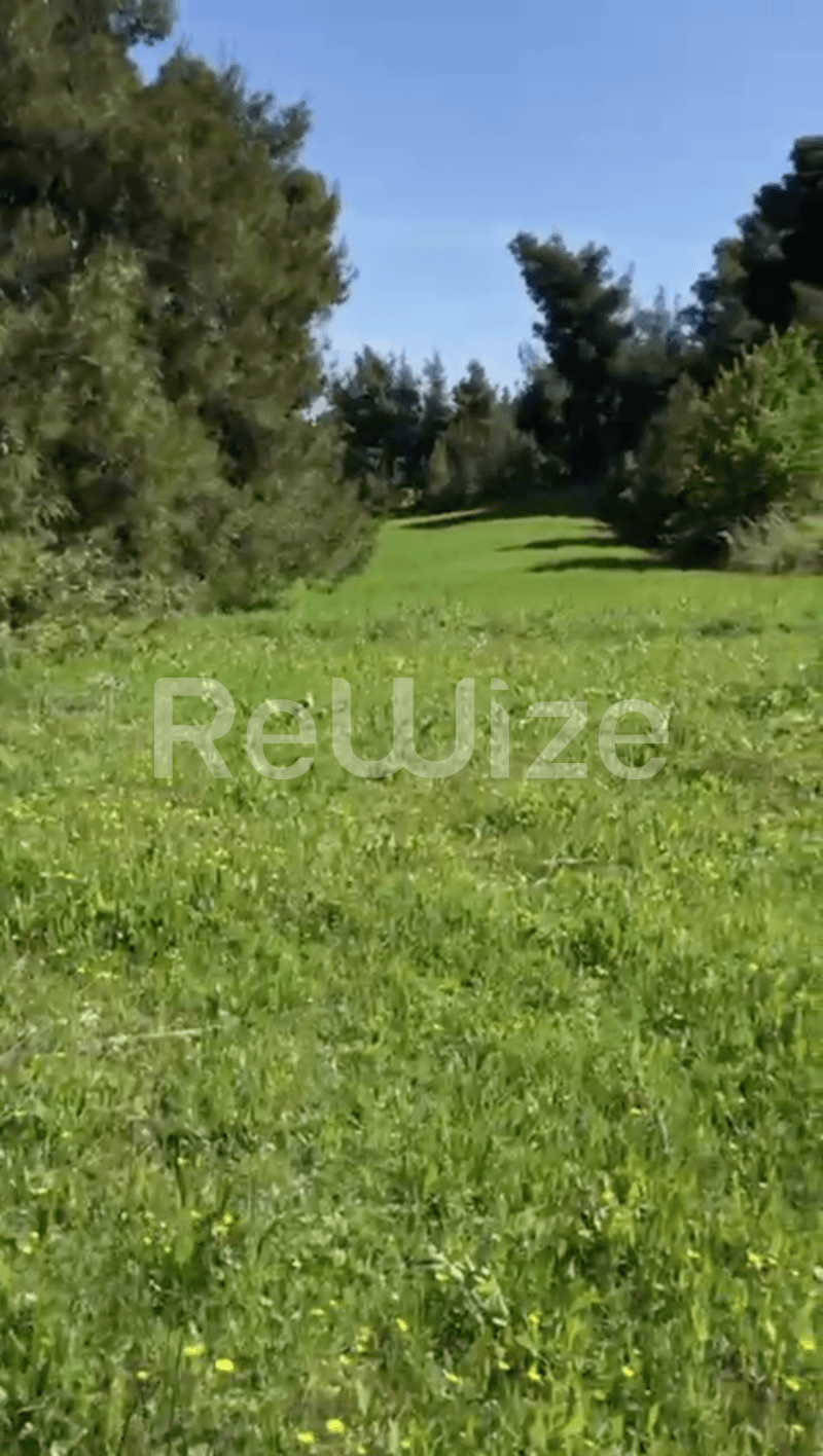 Photo 8,Εξωτερική,ΠΏΛΗΣΗ,Γη,Αγροτεμάχιο,12000τ.μ,€230,000,Ελάνη