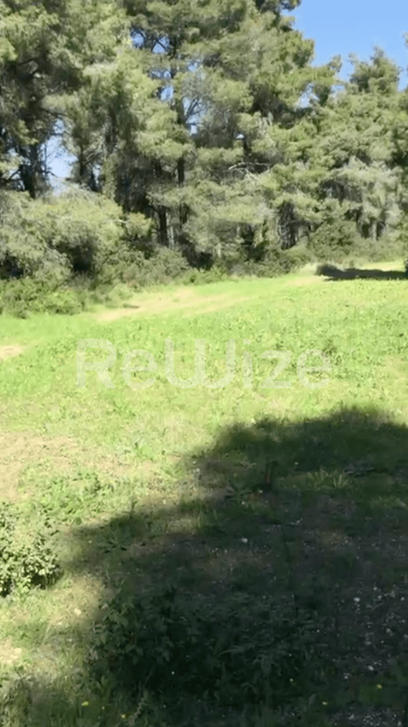 Photo 5,Εξωτερική,ΠΏΛΗΣΗ,Γη,Αγροτεμάχιο,12000τ.μ,€230,000,Ελάνη