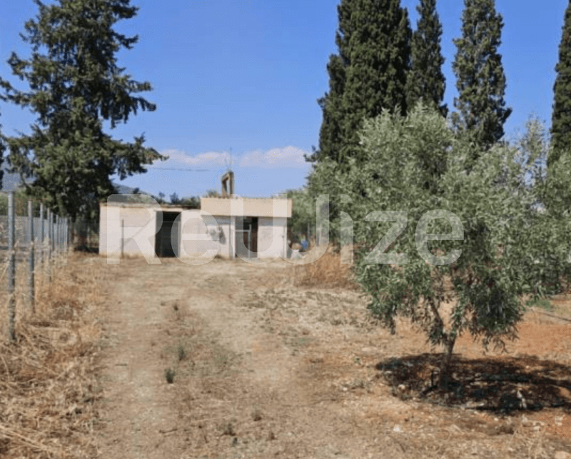 Photo 1,Εξωτερική,ΕΝΟΙΚΊΑΣΗ,Γη,Αγροτεμάχιο,105τ.μ,€3,000,Βόρεια Κυνουρία