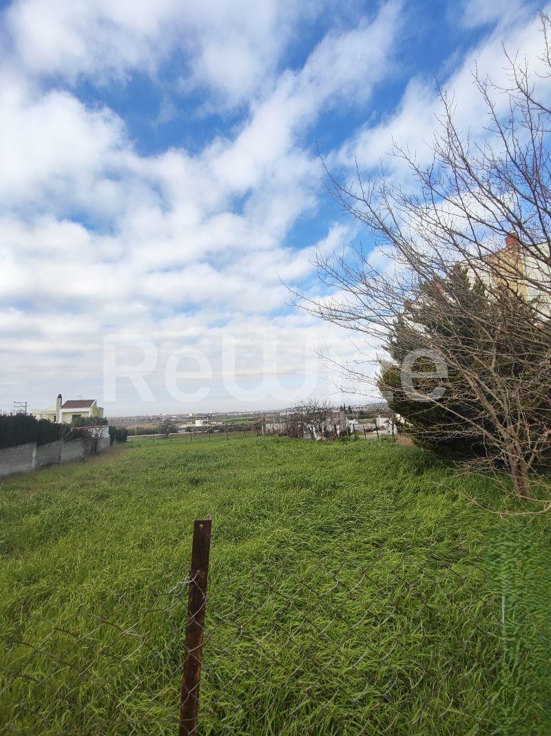 Photo 16,Εξωτερική,ΠΏΛΗΣΗ,Γη,Οικόπεδο,847τ.μ,€80,000,Άγιος Αθανάσιος