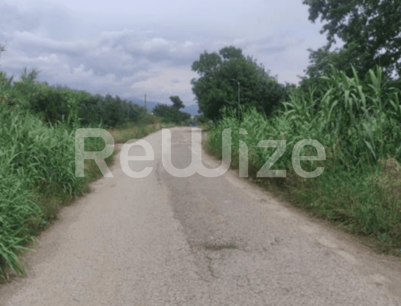 Photo 1,Εξωτερική,ΕΝΟΙΚΊΑΣΗ,Γη,Αγροτεμάχιο,1859τ.μ,€6,000,Παναιτώλιο