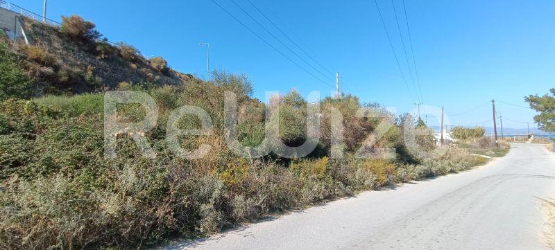 Photo 5,Εξωτερική,ΠΏΛΗΣΗ,Γη,Αγροτεμάχιο,780τ.μ,€80,000,Νέα Ποτίδαια