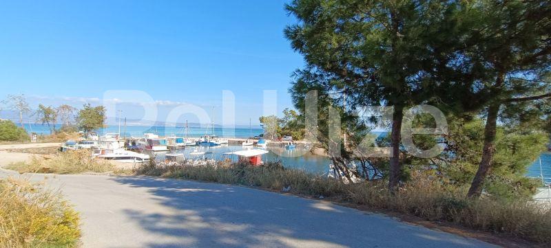 Photo 7,Παραλία,ΠΏΛΗΣΗ,Γη,Αγροτεμάχιο,780τ.μ,€80,000,Νέα Ποτίδαια
