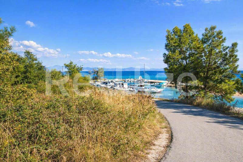 Field 780 m² in Kassandra, photo 1