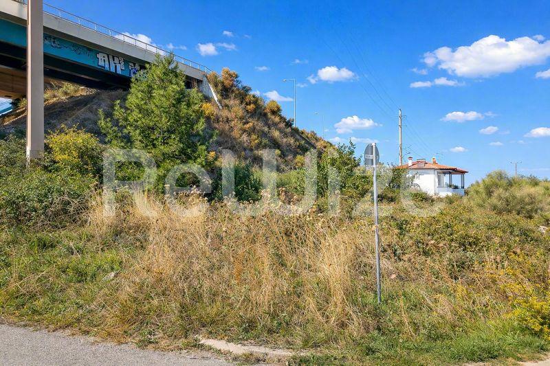 Field 780 m² in Kassandra, photo 3