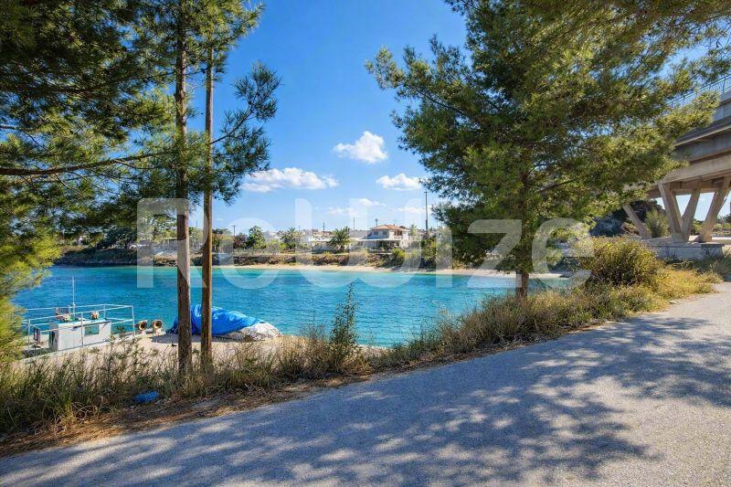 Field 780 m² in Kassandra, photo 2