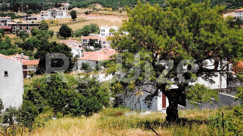 Οικόπεδο 409 τ.μ. στον Πολύγυρο, φωτογραφία 2