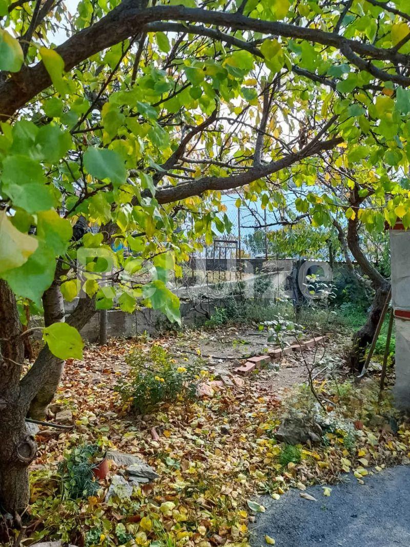 Photo 16,Κήπος,ΠΏΛΗΣΗ,Κατοικία,Μονοκατοικία,60τ.μ,€70,000,Πολύγυρος