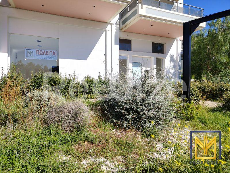Store 204 m² in Saronikos, photo 14