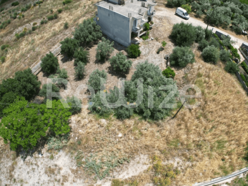 Photo 10,Κήπος,ΠΏΛΗΣΗ,Γη,Οικόπεδο,400τ.μ,€35,000,Κουτσοπόδι