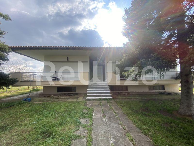 Photo 21,Εξωτερική,ΕΝΟΙΚΊΑΣΗ,Κατοικία,Μονοκατοικία,200τ.μ,€1,100,Βασιλικά