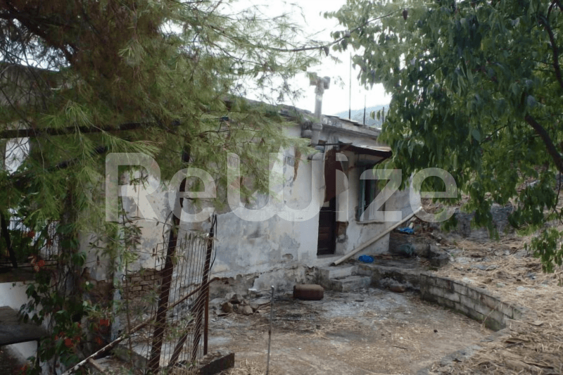 Photo 5,Εξωτερική,ΠΏΛΗΣΗ,Κατοικία,Μονοκατοικία,303τ.μ,€115,000,Λειβαδιά