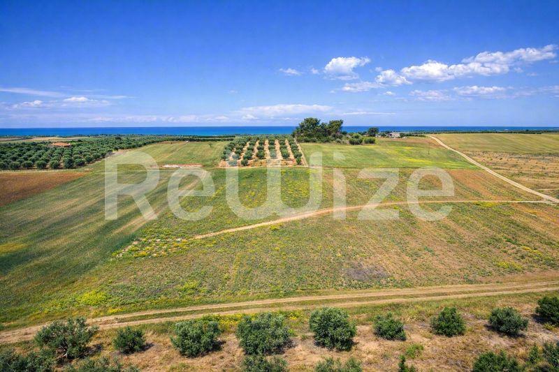 Αγροτεμάχιο 7500 τ.μ. στη Νέα Προποντίδα, φωτογραφία 8