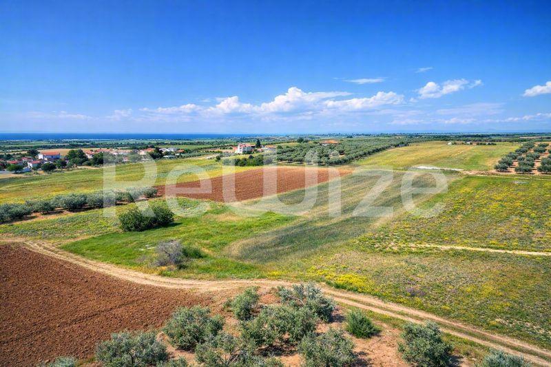 Αγροτεμάχιο 7500 τ.μ. στη Νέα Προποντίδα, φωτογραφία 10
