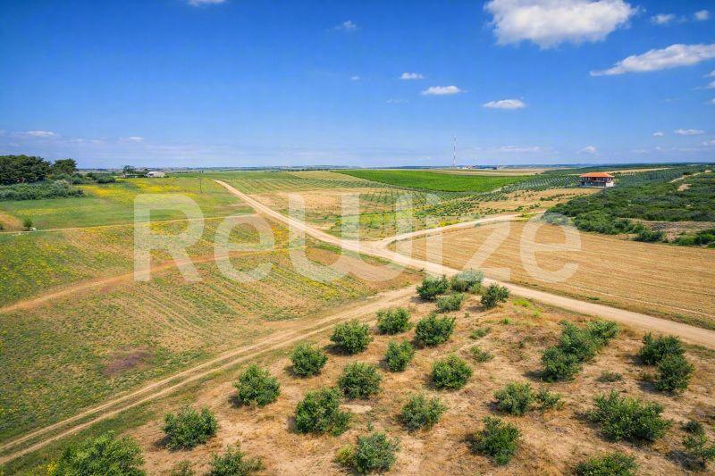 Αγροτεμάχιο 7500 τ.μ. στη Νέα Προποντίδα, φωτογραφία 11